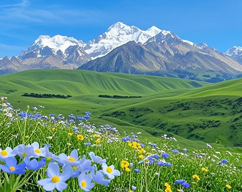 5-Day Sichuan West: Snow peaks, forests, grasslands, lakes, temples & hot springs. Discover Tibetan culture & wildlife in nature's paradise.