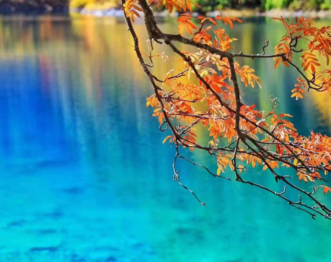 2-Day Jiuzhaigou Magic: UNESCO Lakes & Waterfalls from Chengdu East. Nature's Masterpiece Awaits!