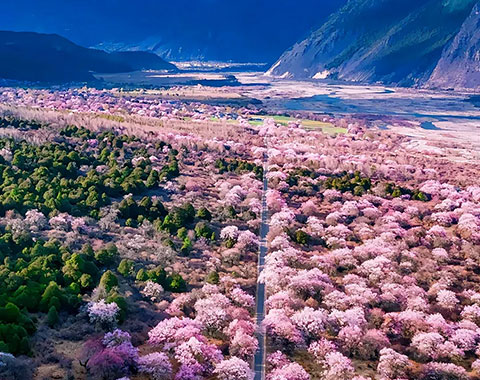 11 Days Sichuan Tibet Overland Group Tour Via G317
