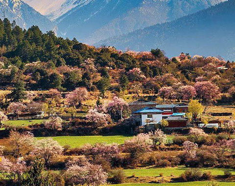 8 Days Lhasa-Yamdroktso-Shigatse-Mt. Everest Tour